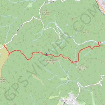 Itinéraire Marche Thann retour, distance, dénivelé, altitude, carte, profil, trace GPS