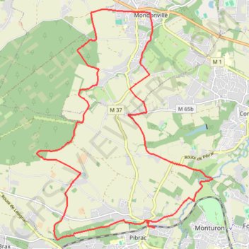 Itinéraire En micheline à Pibrac !, distance, dénivelé, altitude, carte, profil, trace GPS