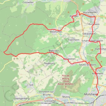 Itinéraire Bacchus - Molsheim, distance, dénivelé, altitude, carte, profil, trace GPS