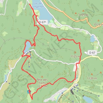 Itinéraire Randonnée Champis, distance, dénivelé, altitude, carte, profil, trace GPS
