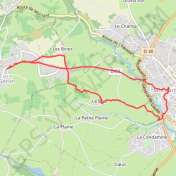 Itinéraire Saint Sorlin-Mornant-Saint Sorlin, distance, dénivelé, altitude, carte, profil, trace GPS